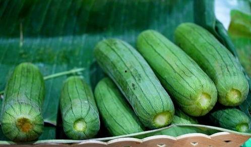 吃小白瓜体重变化,见证健康饮食的神奇效果