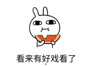 吃瓜弄得自己很生气,揭秘“瓜气”背后的心理陷阱