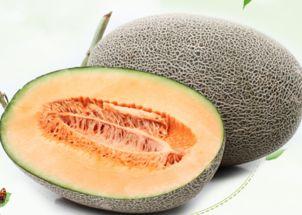 贤淑吃哈密瓜,哈密瓜的甜蜜诱惑