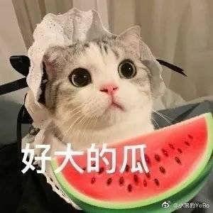 梦见吃瓜呕吐死人了,吃瓜呕吐,死亡阴影下的心理暗示