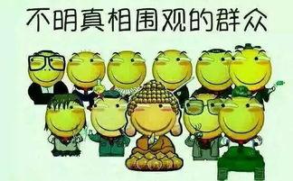 好队友吃瓜,揭秘娱乐圈背后的真实故事