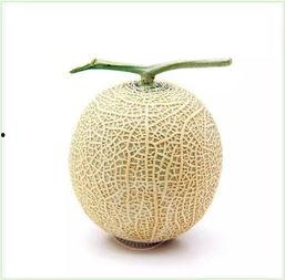 沈墨吃瓜,揭秘娱乐圈背后的秘密与真相