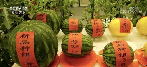 临云吃瓜,揭秘娱乐圈背后的那些事儿