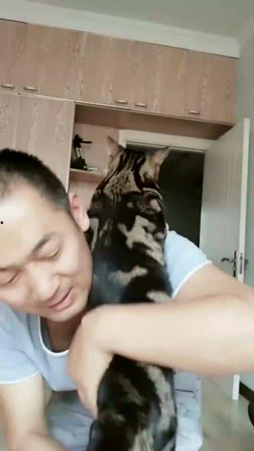 猫咪吃瓜把蛋吃没了,瓜果飘香，蛋蛋不翼而飞