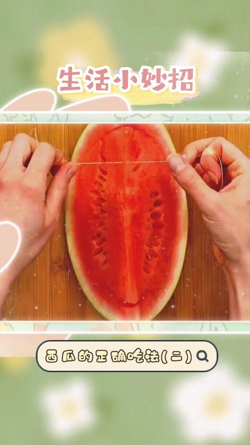 吃瓜指南正确吃法,揭秘吃瓜指南的正确打开方式