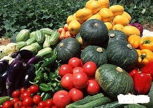 吃瓜菜文案,揭秘吃瓜菜背后的趣味与智慧