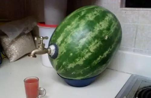 汝南二龙里吃瓜,瓜果飘香，品味夏日清凉时光