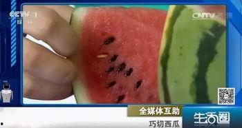 吃瓜不吐皮下一句,网络流行语的深层内涵与现象解析