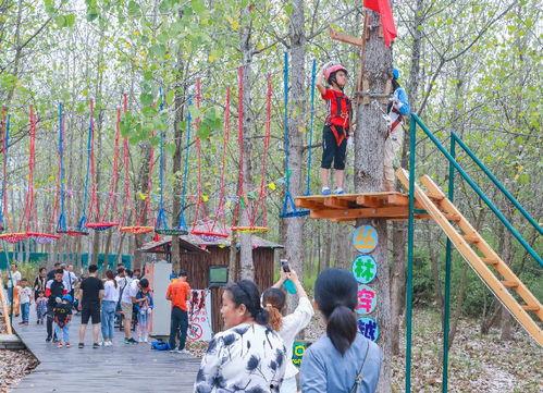 合肥吃瓜社,揭秘本地热门事件，一网打尽城市新鲜资讯