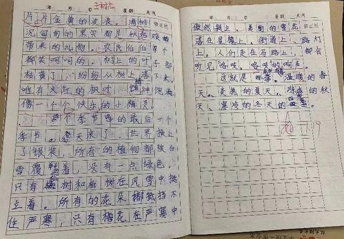 童年吃瓜作文二,回忆里的甜蜜滋味