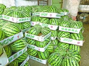 武汉吃瓜视频全集,揭秘城市生活百态