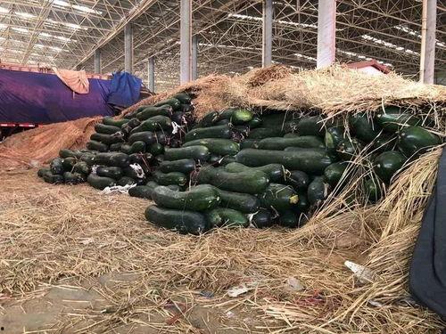 永年吃瓜人事件,揭秘网络谣言背后的真相