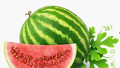 吃瓜怎么画好看