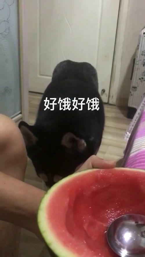 拉拉团吃瓜,揭秘娱乐圈幕后故事