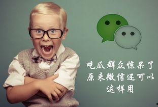 探长吃瓜微信,揭秘娱乐圈背后的秘密瓜田