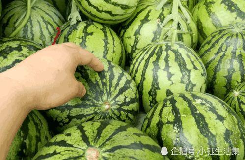 买个西瓜吃瓜视频,跟着视频学挑西瓜，轻松吃出甜蜜滋味
