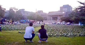 宿迁学院吃瓜事件,校园风波背后的真相揭秘