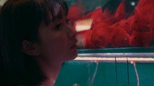 吃瓜女孩的视频,短视频中的娱乐魅力与社交现象