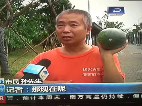 各种热门事件吃瓜事件