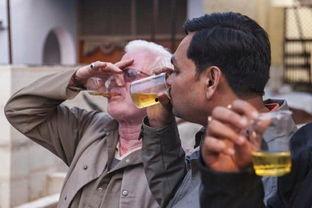 吃鸡瓜鄙视,揭秘网络热词背后的文化现象